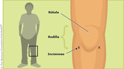 KidsHealth Image