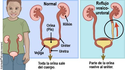 KidsHealth Image